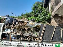 Best Appliance Removal  in Lake Leann, MI