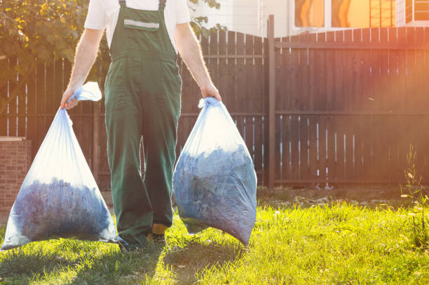 Best Recycling Services for Junk  in Lake Leann, MI